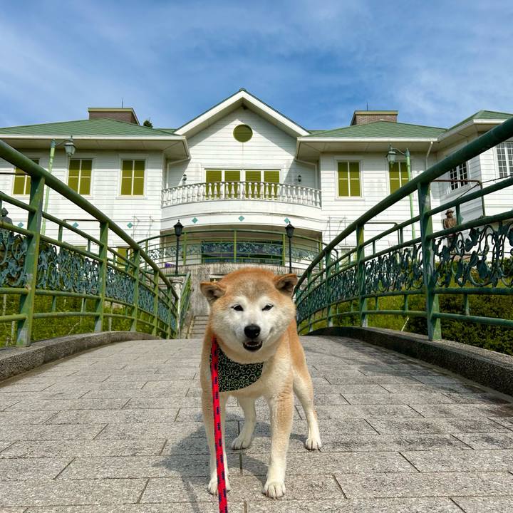 A3ff8748 819b 4253 8421 bcb3d45549b5 1748774174295