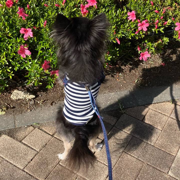 A3ffe2d7 ed0e 4a2f 823a ff92a5770b51 1715441489842