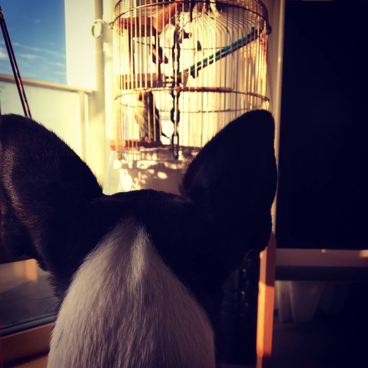 A3fff3ee a1ee 4b91 9438 8db82e481742 1542606403294