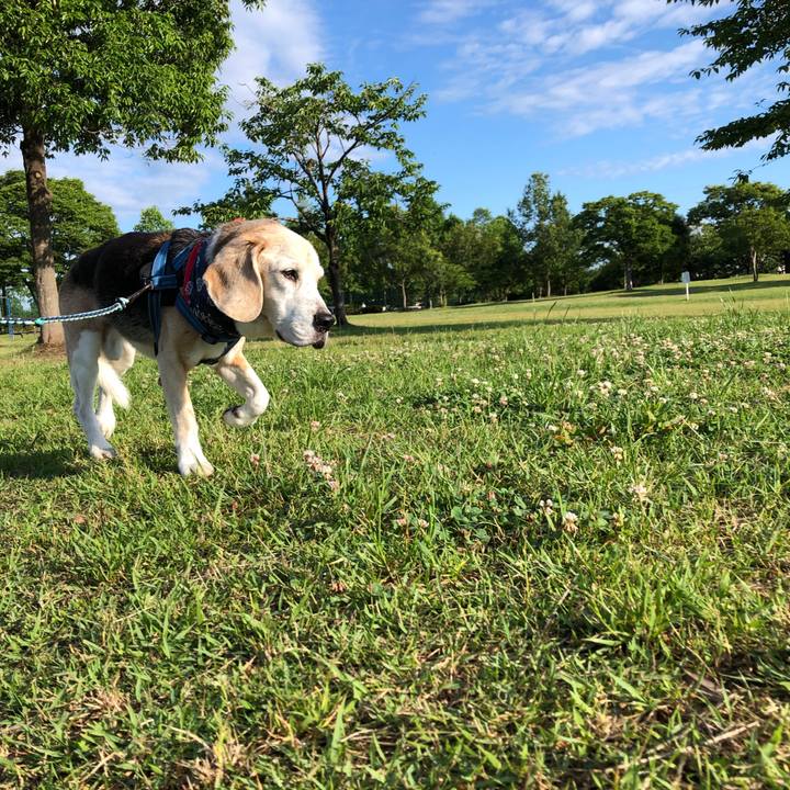 A40016da b31d 4808 9347 d0c8cb5cf5df 1625008573914