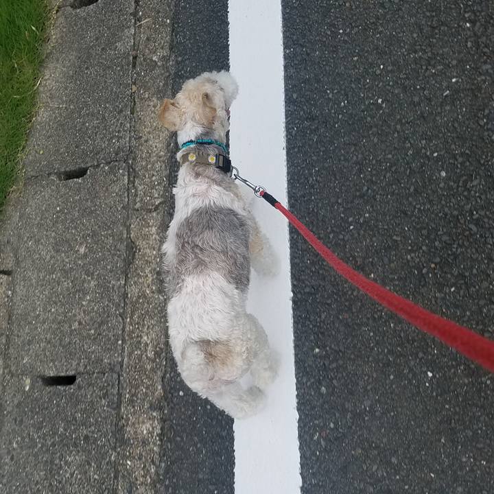 A4006443 238a 41b7 8808 90f293b078c1 1567465924904