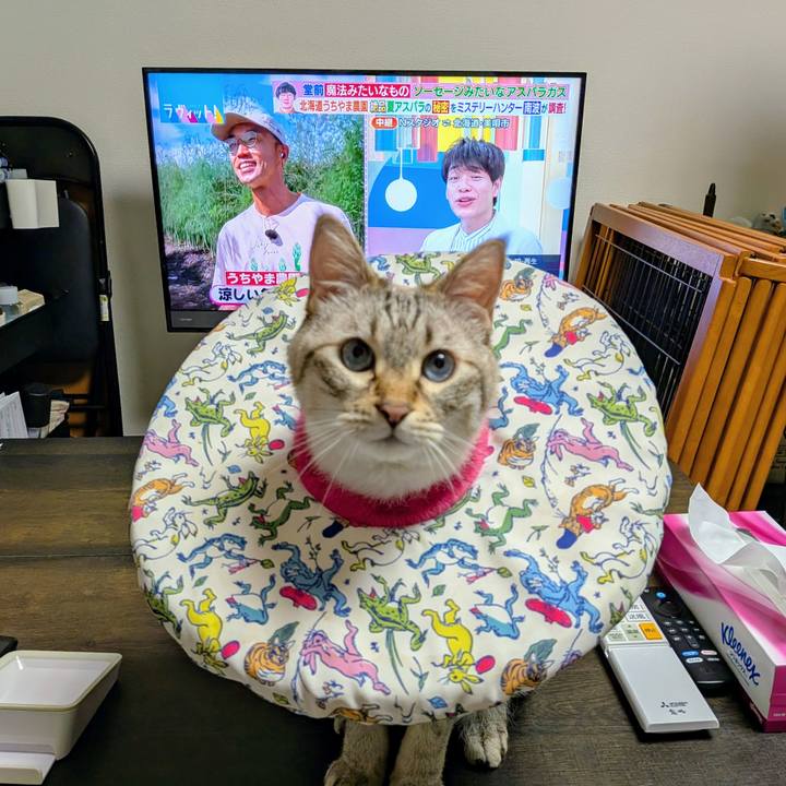 A40074a6 a928 450e bf29 c24df484f2f5 1753274584128