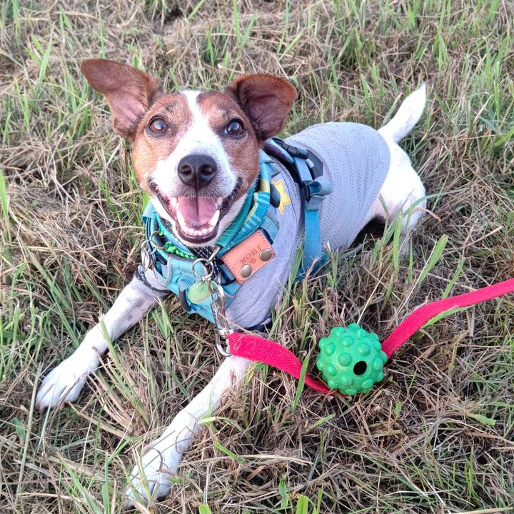 A4009a5b b618 44f2 b683 239faa959df1 1694873406787