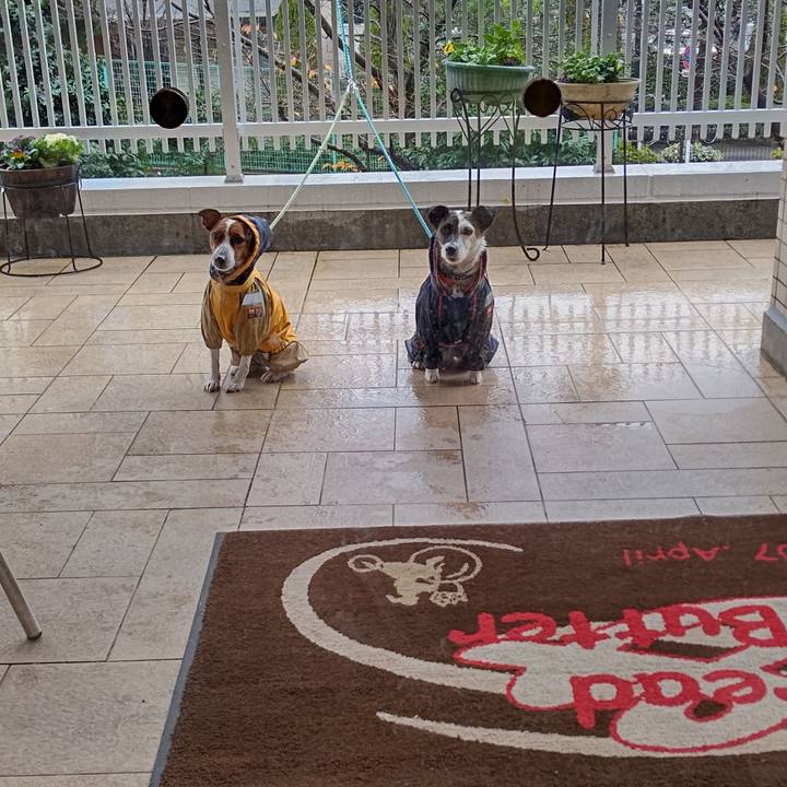 A400d1e7 d66f 4a40 8945 58fda2f1ca7e 1638950208022