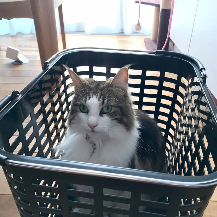 A400e7d7 73cd 4f8a be19 635ebe1044fd 1533113791115