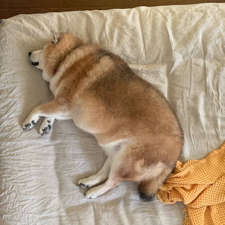 A400f6b2 6401 41a8 8a1e 773a82c6a6ed 1627089150605