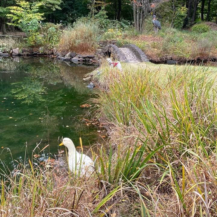 A4010080 09c5 41f6 9871 5998c775d8cb 1667302131905