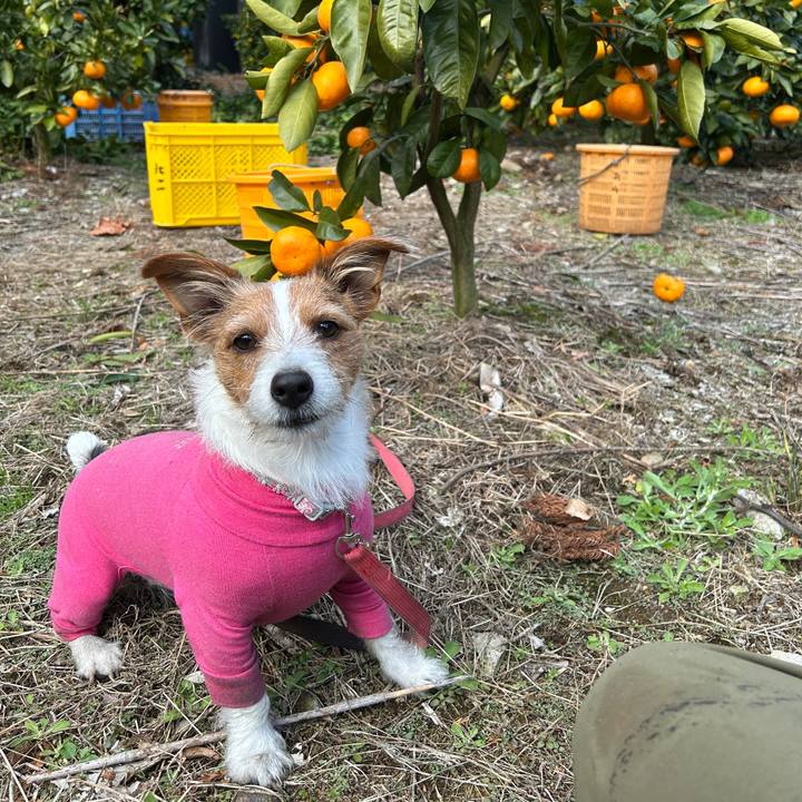 A40126a0 061e 40ad 8edb 45156e601ccc 1765851155426