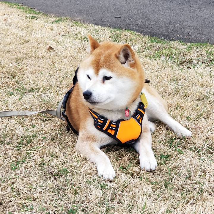 A4015092 589c 4a9f af31 ba5d824c47b7 1617512847651