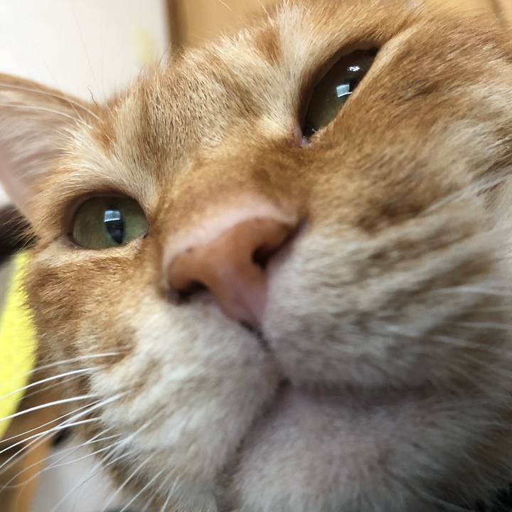 A4015754 fa6e 45fd 8490 48bcb99f5ab5 1579915597196