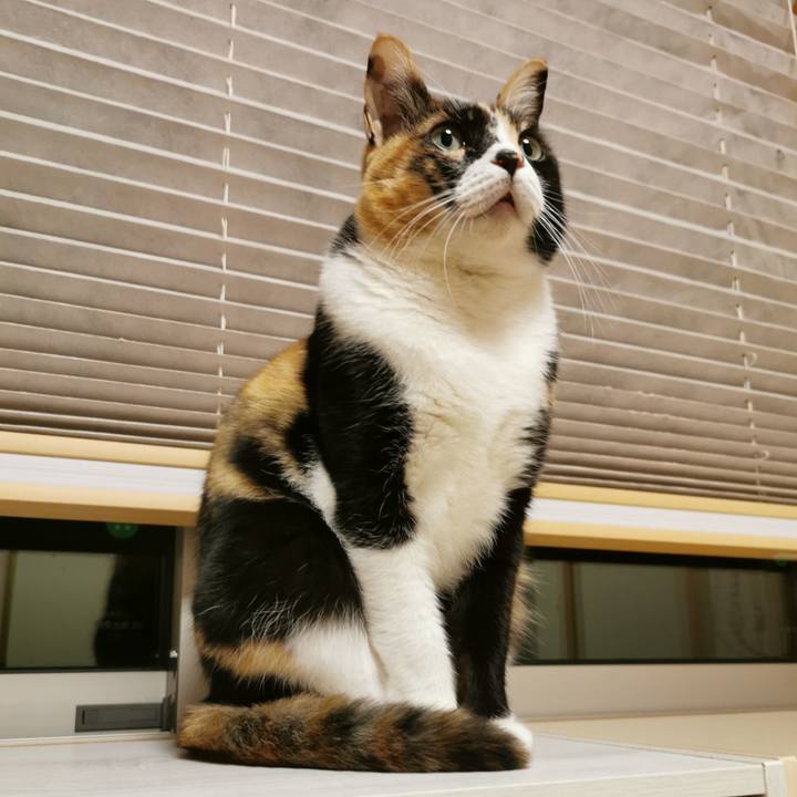 A40162eb df63 4538 ae8a 2f86d0b7230c 1676869697396