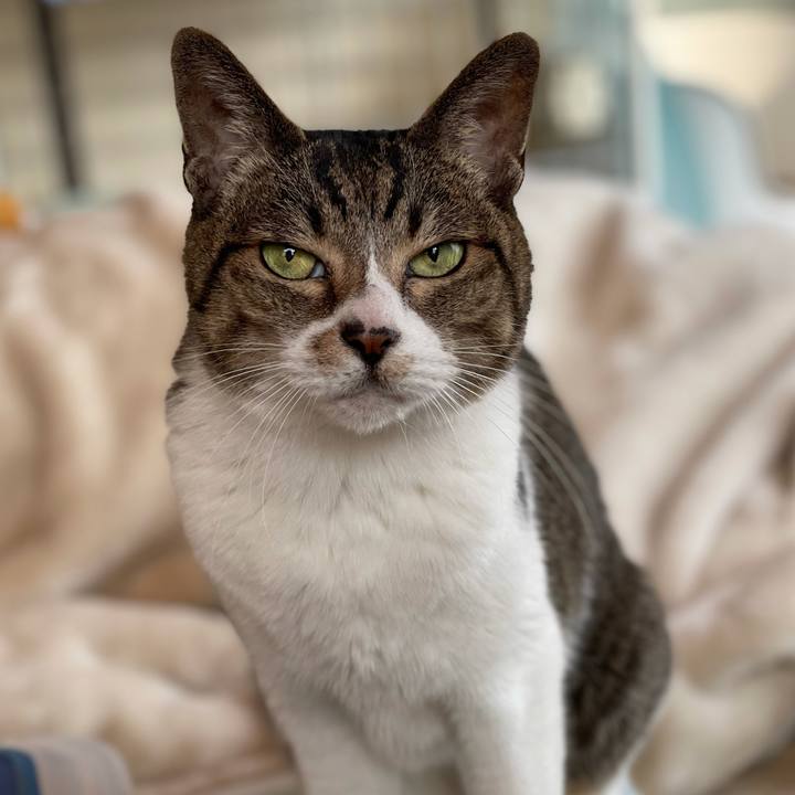 A401854a 5813 46b0 9f06 273a47e90548 1608688244319