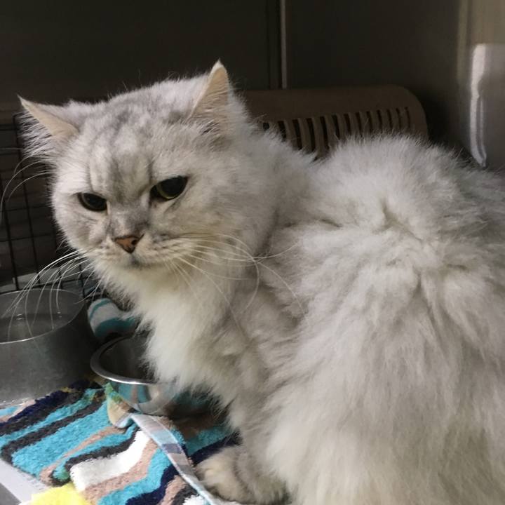 A401dfa4 0975 4128 ad27 aa295de19514 1544669898456