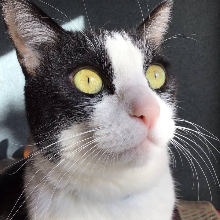 A402a4be 6ac4 46e4 bf7f 9d35a309e00f 1734912961093