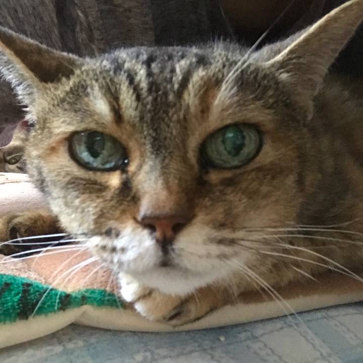 A402d2dd f7b0 4d21 be0f a993feef8f61 1531008320082