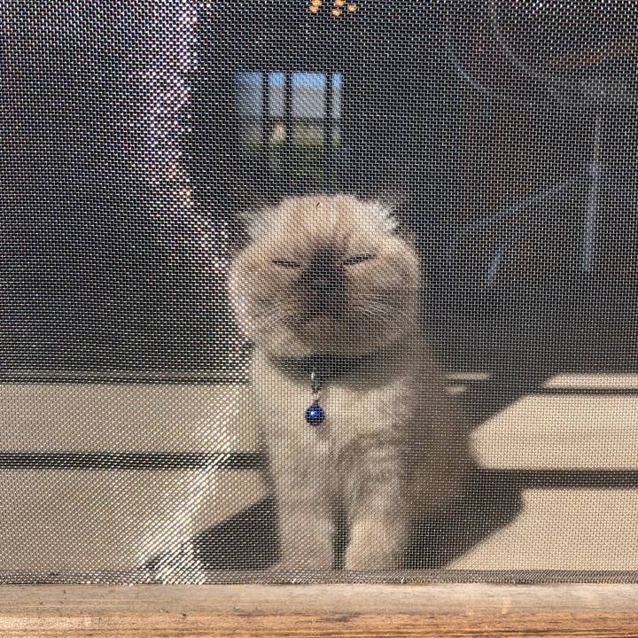 A402d639 42be 447f a6d2 1f029f2ea4ba 1586327237204