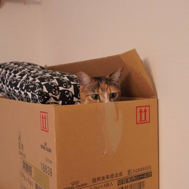 A4033558 6ede 451f ad1b 36786e20aa8b 1608216753493