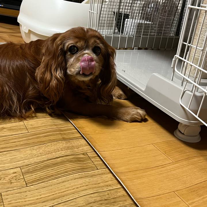 A403392c 3c8b 4c61 a7ff ea49939bc5ff 1736548258787