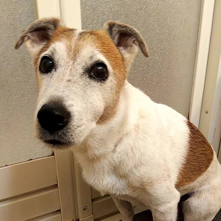 A4036bc0 58f7 4de2 81b7 969b46a647c5 1594535186586