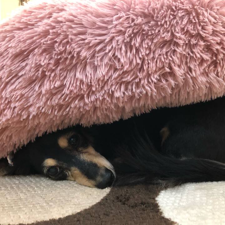 A403cc61 59cf 473a 8308 7c5491226868 1613000878239