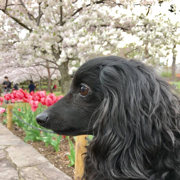 A403cdb6 82b8 480c 84d7 bda578fd06c1 1617226834314