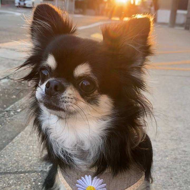 A403d751 a9b8 418b 9a76 720d0f04cb43 1633768854759