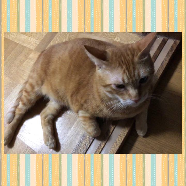 A4040549 56ab 4b75 94c4 c14569efadcc 1599644398810