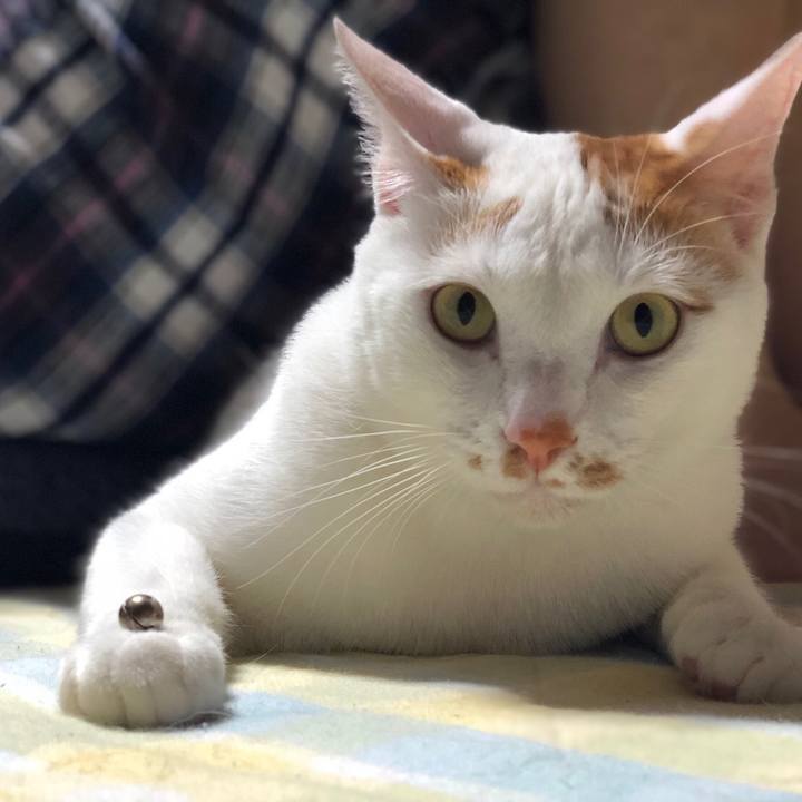 A404329e d429 473b b199 2b5e373eba80 1525579556319