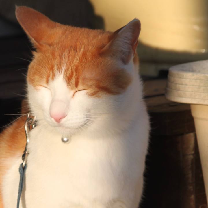 A40432f2 f626 41aa bbfd d2d7fcd6de93 1518951075332