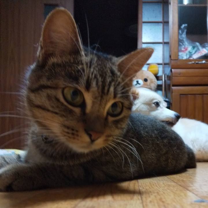 A4043ca1 b779 4701 b2d9 79b77d6b5b21 1566474330725