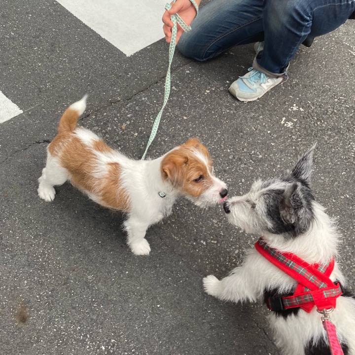 A404694d a58f 41d5 b008 259c987f3735 1598140880776