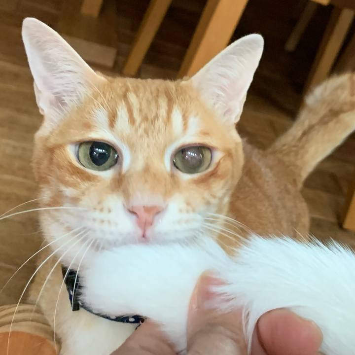 A4046968 8e9a 48f2 87f6 d47925305406 1607818533254