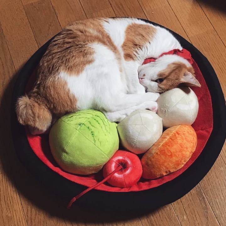 A4046a01 5144 45f4 b2f4 5337d98e1b5c 1628686068673