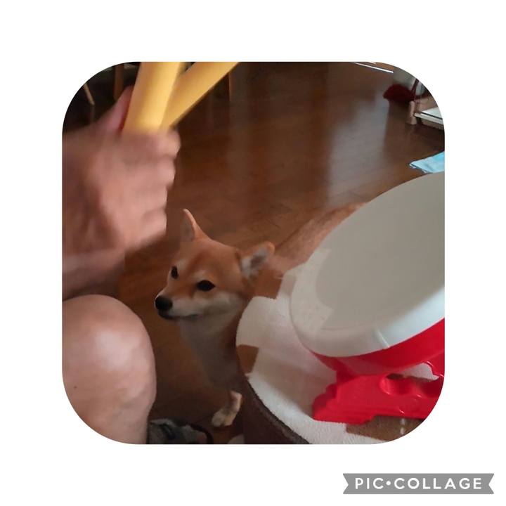 A4048661 dcf4 4a01 b727 3566ff947bbd 1696054566360