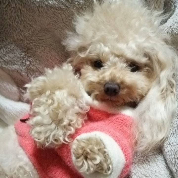 A404ab93 5d8f 45ca a992 8b47fc06abe2 1516185518641