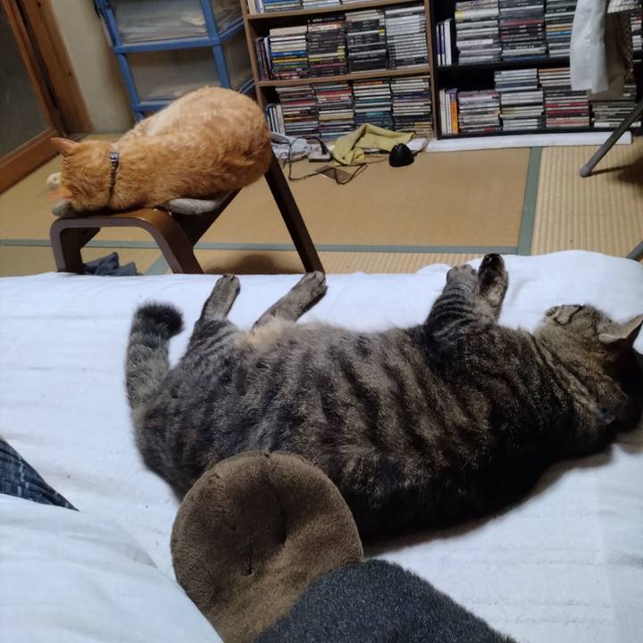 A404cb43 2727 4027 8b2e 5208fd4512c5 1690893254393