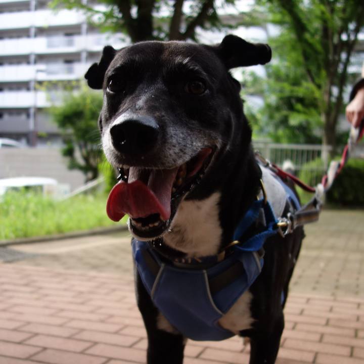 A404e0d2 d9b3 4fdc 91c1 5051ad92f46e 1722385759365