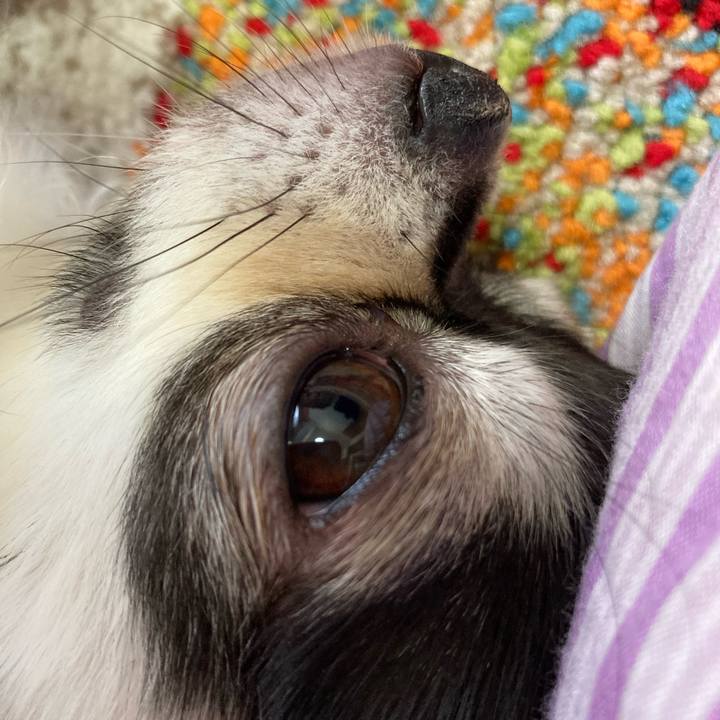 A404f9fd c146 4874 9850 0e58a698fd3b 1688913885231