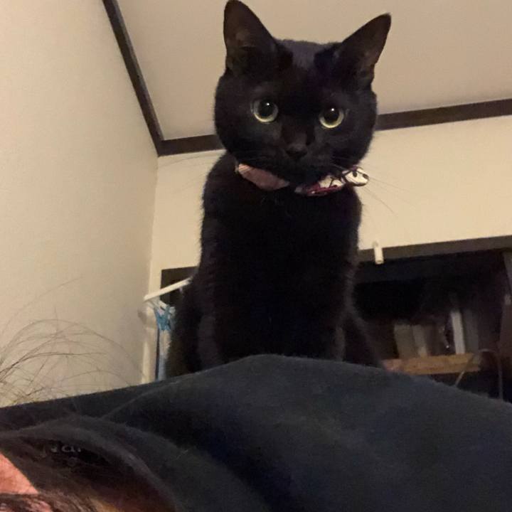 A404fe14 462a 49c1 a32b 0390303da9c6 1574081751744