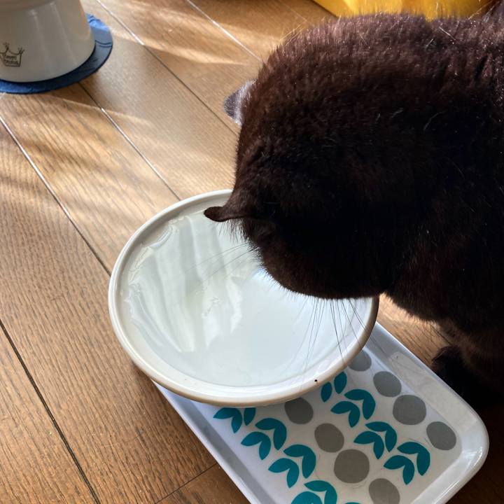 A405389f 81ce 47fb 8572 889f2f6fafe3 1640165528644