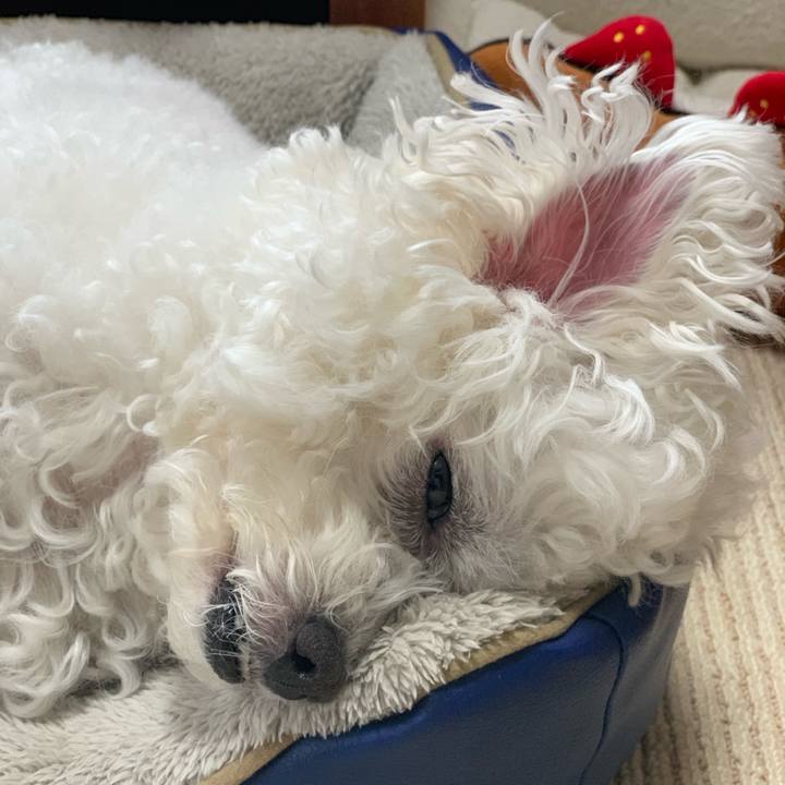 A4054f98 4a9f 4d5a b871 3bcb8e9c020a 1551581174788