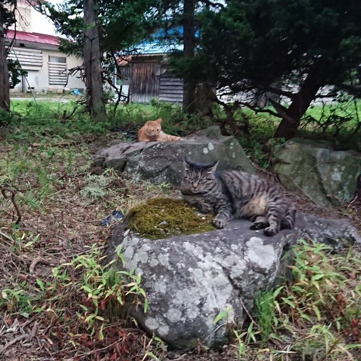 A4055105 2941 4b17 b81c b4cab8c1526d 1658743934031