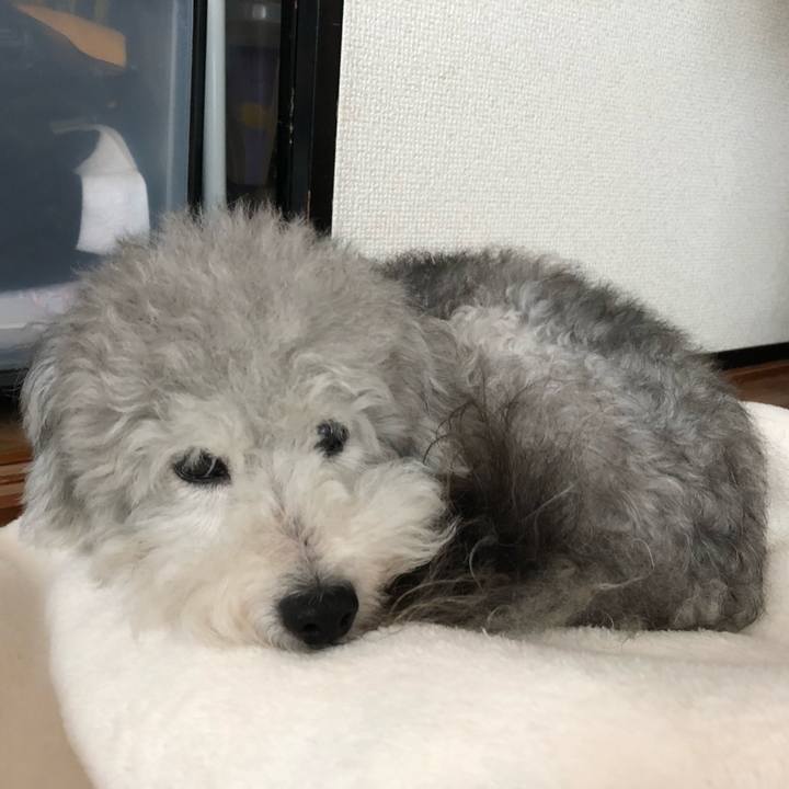 A4057841 39d5 4ed3 9779 bb42b466ee7b 1533684471112