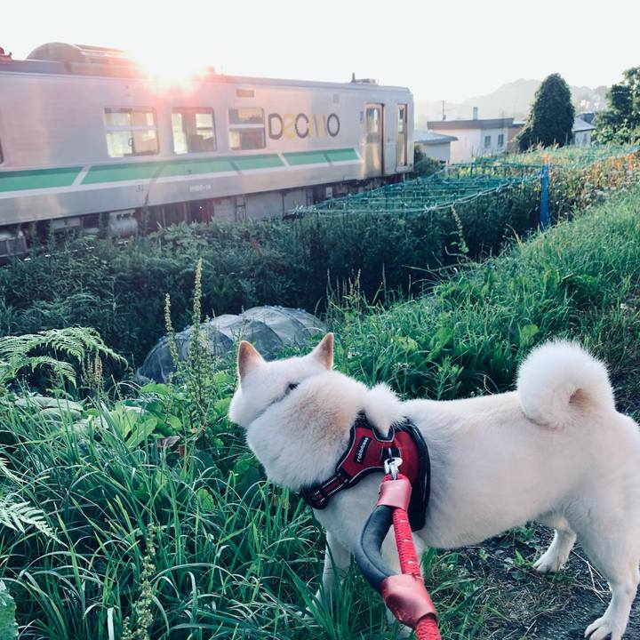 A405d282 4ee1 49d0 9a70 e5aee64bf49c 1659646429498