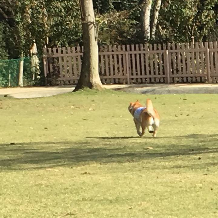 A405f1da d4eb 455d b655 71848b15bc20 1542341110297