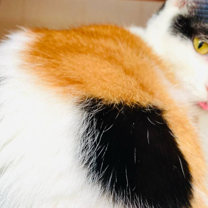 A405ff82 d172 4258 a1fa f8a6a987394e 1667823834962