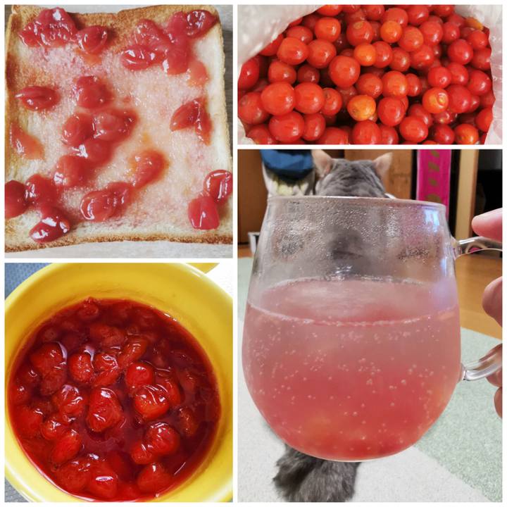 A406212f 7332 4f70 9b5a 02f92d3e2796 1683604893424