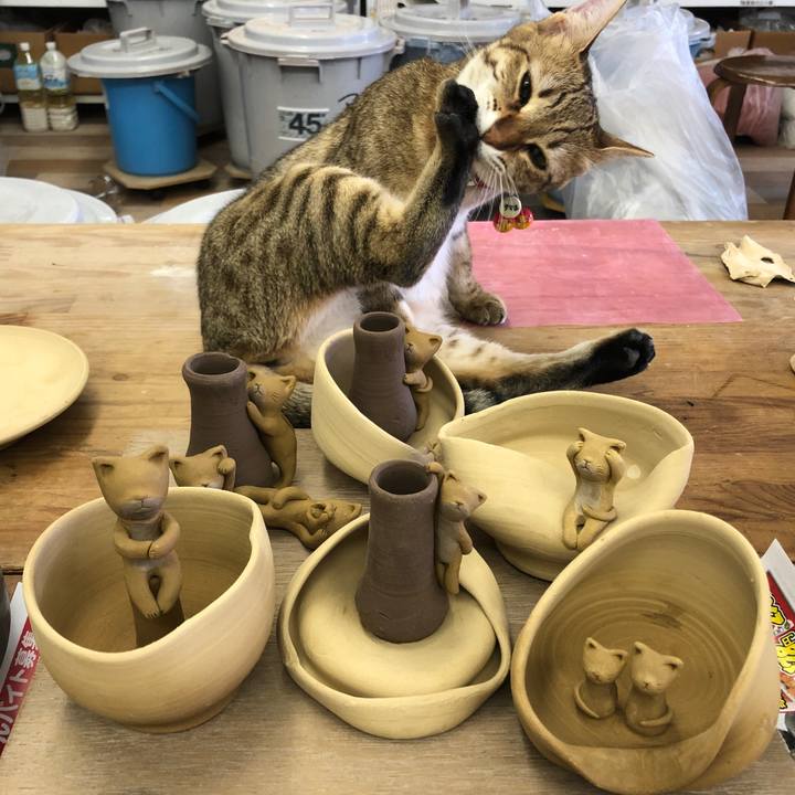 A4066132 b6c4 4e43 97c8 08ba63860571 1588644174496