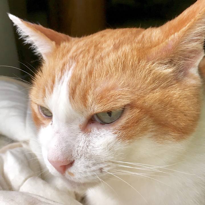 A4067fc5 49a8 4cad 9b0f e5b17760d67d 1565257792745