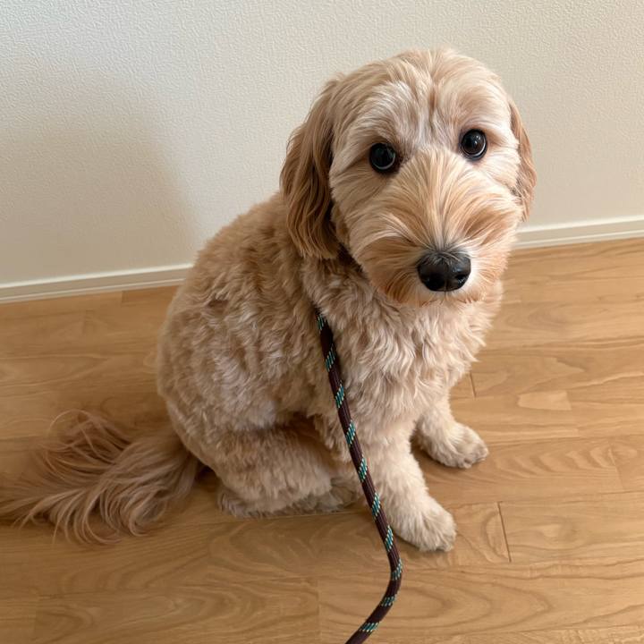 A40683d8 45d3 4959 bb9a e9b8c8f7fecb 1763590863859